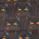 Load image into Gallery viewer, Retrolicious Plus Size Black Cat Print Blouse