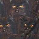 Load image into Gallery viewer, Retrolicious Retro Black Cats Print Fit & Flare Dress