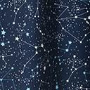 Load image into Gallery viewer, Plus Size 1950s Navy Star Constellation Print Swing Skirt