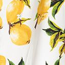 Load image into Gallery viewer, Retro Style Lemon Print Fit &amp; Flare Dress
