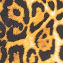 Load image into Gallery viewer, Leopard Print Face Mask
